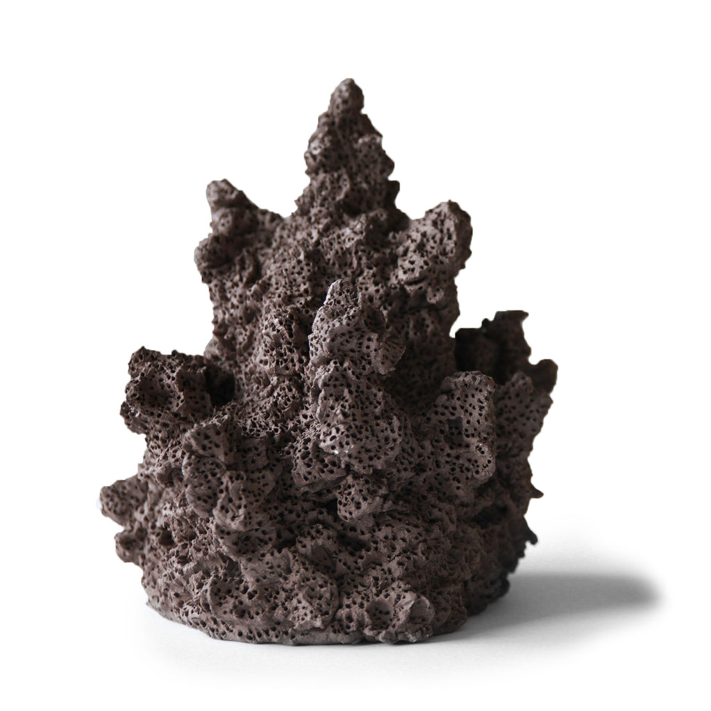 Brown Coral