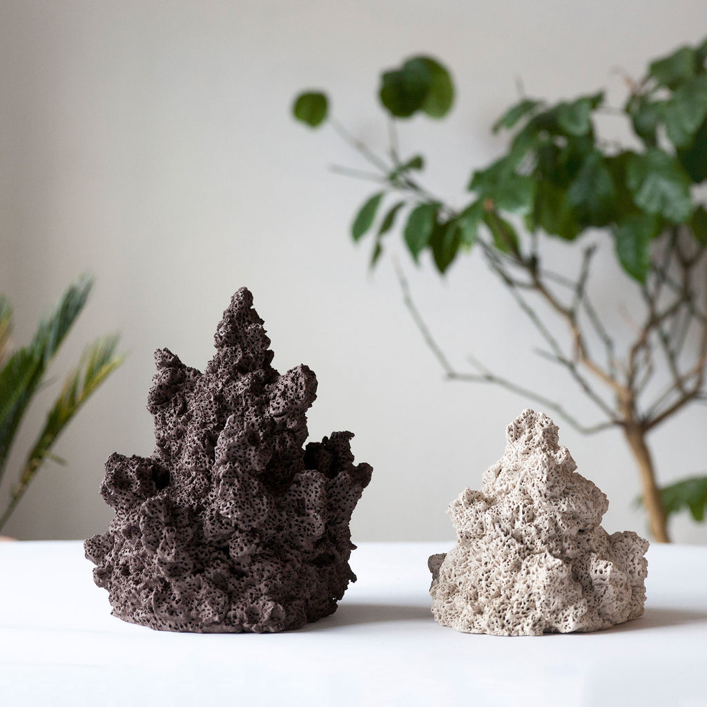 Brown Coral