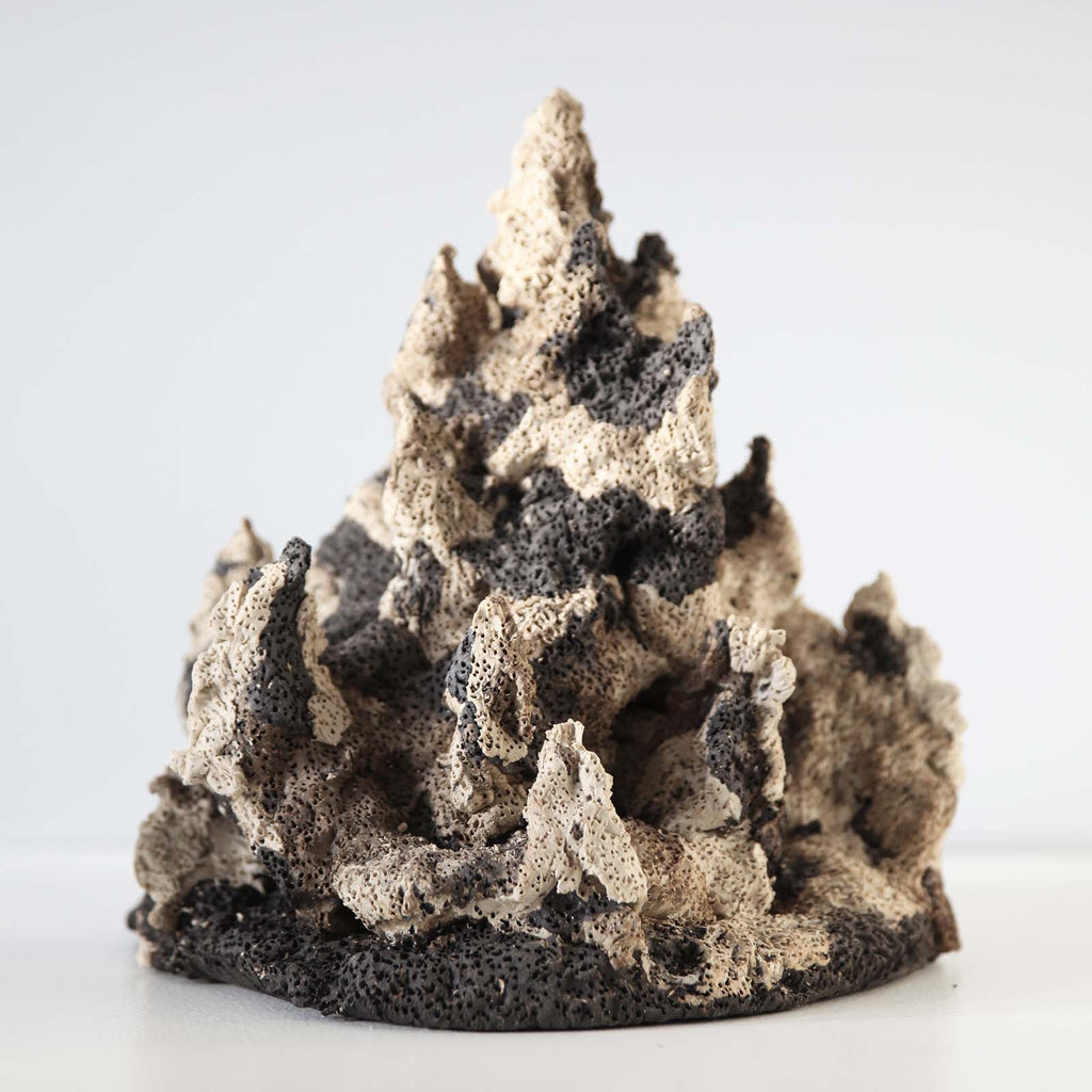 Marbled Coral